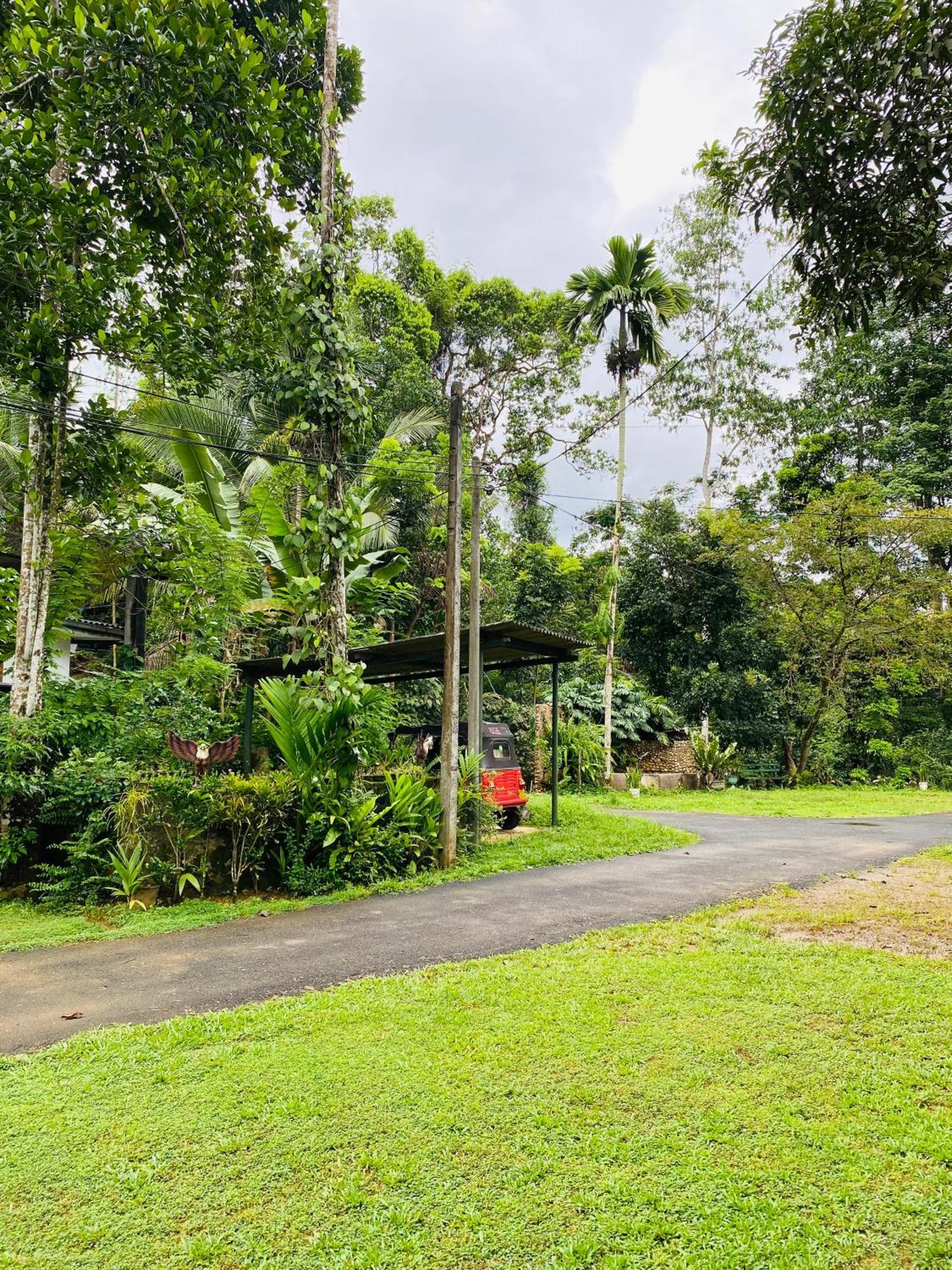 Summer Ridge - Homestay Ratnapura Exterior photo