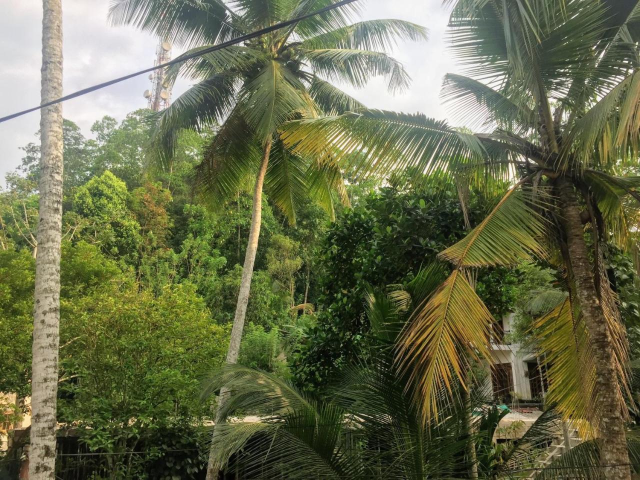 Summer Ridge - Homestay Ratnapura Exterior photo